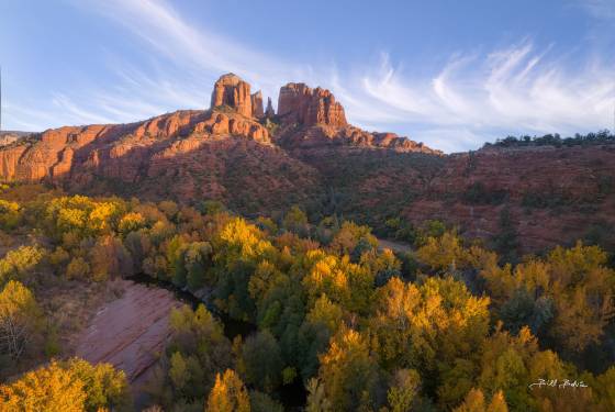 Autumn Bliss Cottonwoods in full Fall color with Cathedral Rock, Sedona in the background