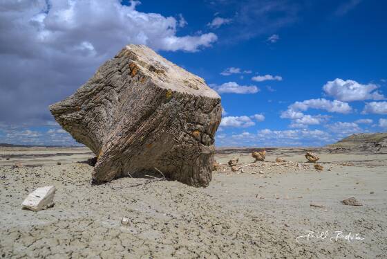 Petrified Stump Petrified stump on the south side of Ah-Shi-Sle--Pah Wash in New Mexico.