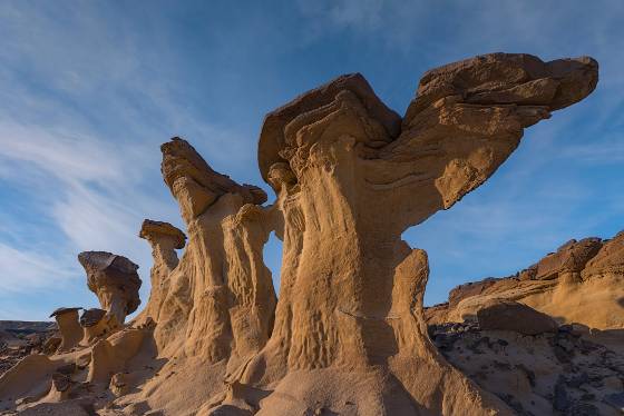 Stone Camel Stone Camel Hoodoo in Valley of Dreams, Ah-Shi-Sle-Pah Wash, New Mexico