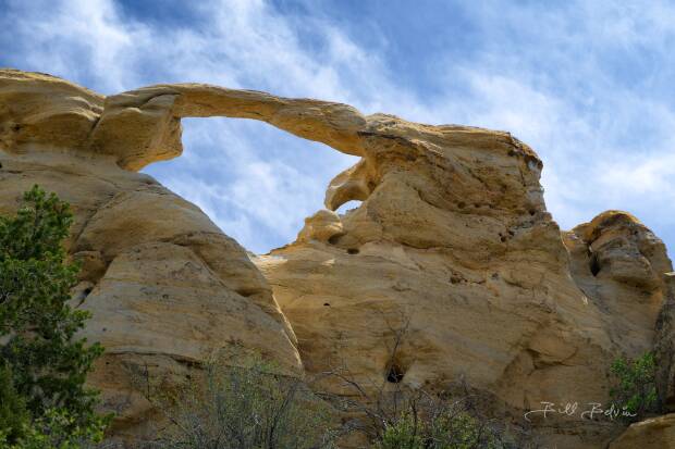 Graceful Arch