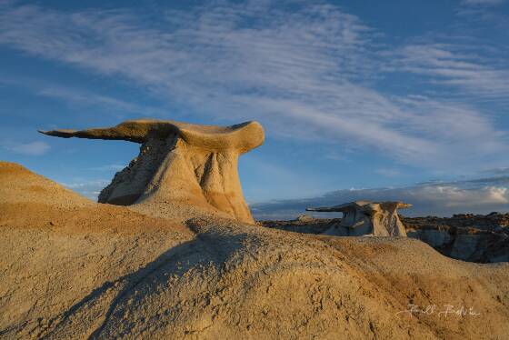 Bisti Wings 4 The Bisti Wings in the Bisti Badlands, New Mexico