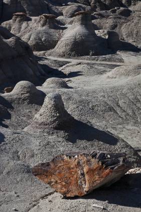 Petrified Wood Rock Formation in Alamo Wash, part of the Bisti Badlands in New Mexico