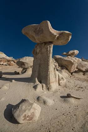 Pedestal 1 Rock Formation near Hunter Wash, part of the Bisti Badlands in New Mexico