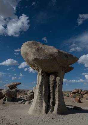 Pedestal 2 Rock Formation near Hunter Wash, part of the Bisti Badlands in New Mexico