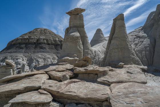 Petrified Cove Petrified Cove in the Bisti Badlands