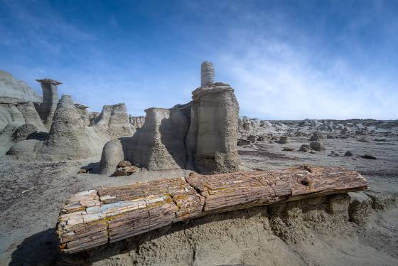 Petrified Log 1 Petrified Log in Petrified Cove in the Bisti Badlands.