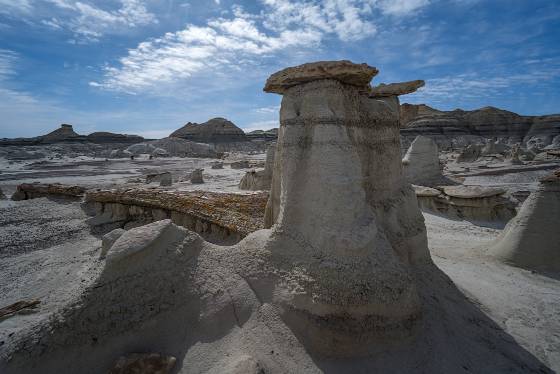 Petrified Log 2 Petrified Log in Petrified Cove in the Bisti Badlands.