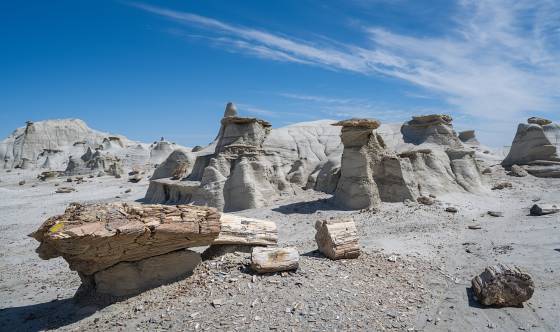 Petrified Log 4 Petrified Log in Petrified Cove in the Bisti Badlands.