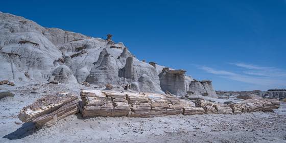 Petrified Log 5 Petrified Log in Petrified Cove in the Bisti Badlands.
