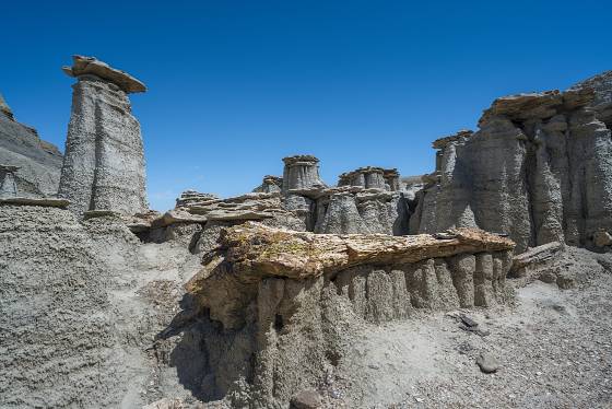 Petrified Log 6 Petrified Log in Petrified Cove in the Bisti Badlands.