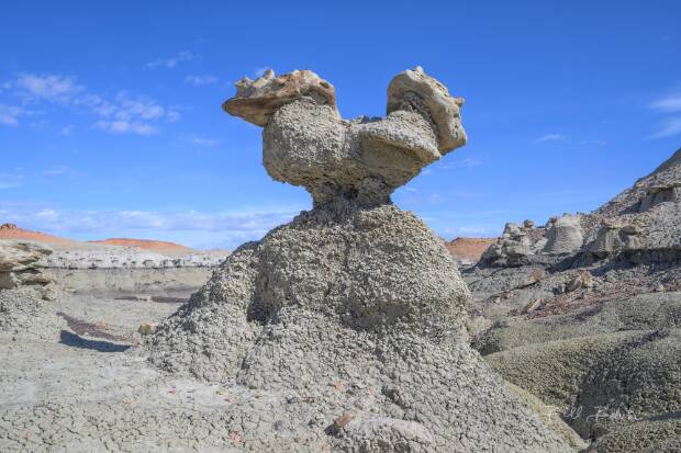 Bisti West