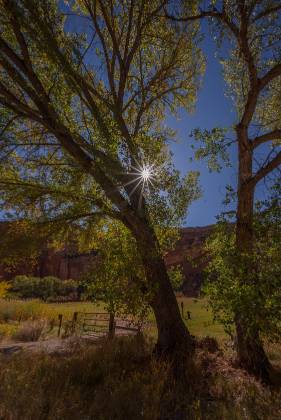 Closed Orchard Orchard in Capitol Reef National Park