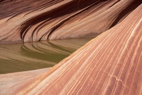 Sandstone Reflection Sandstone reflected in a water pool at The Wave