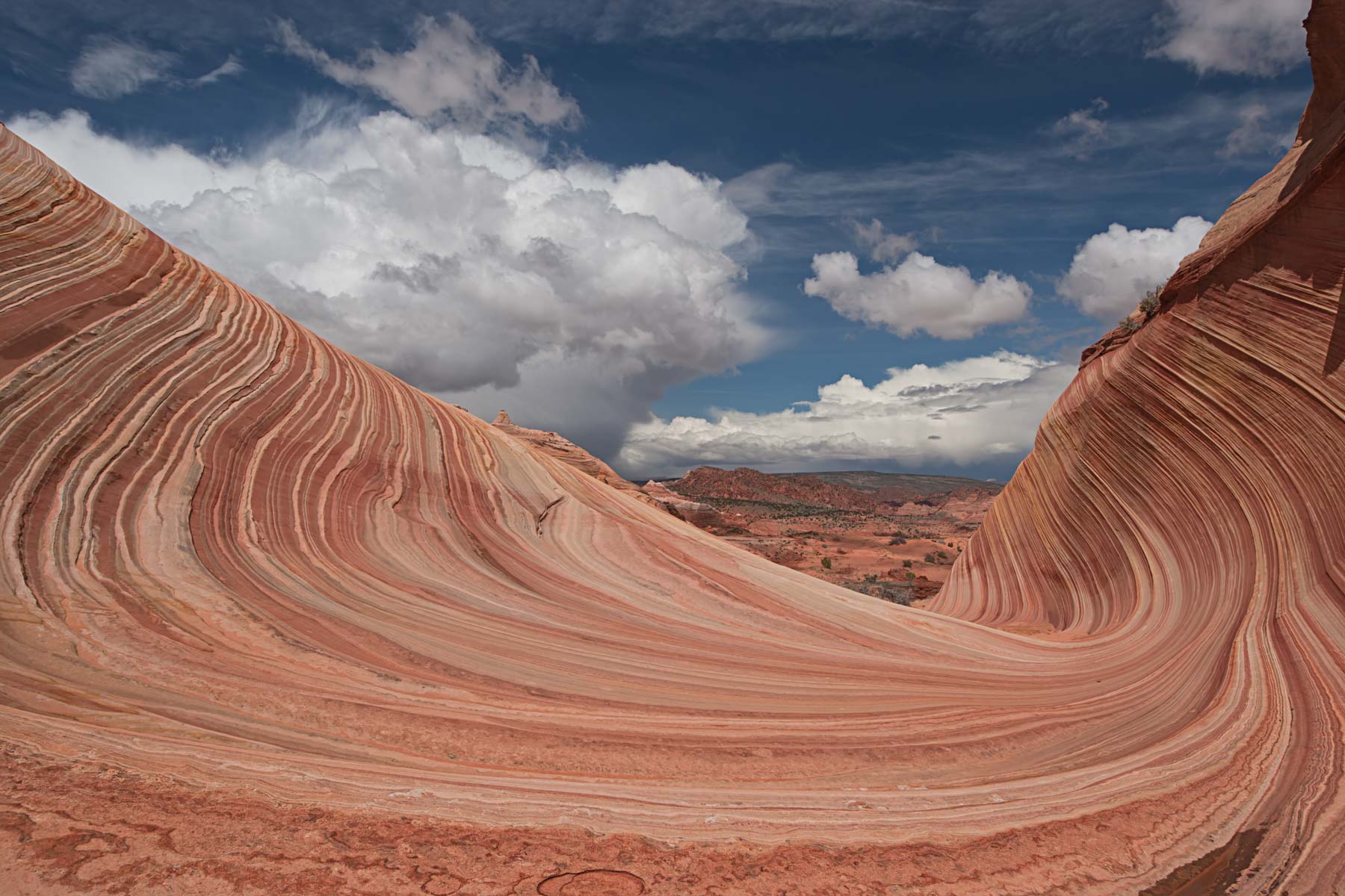 The view north from The Wave in Coyote Buttes North, Arizona