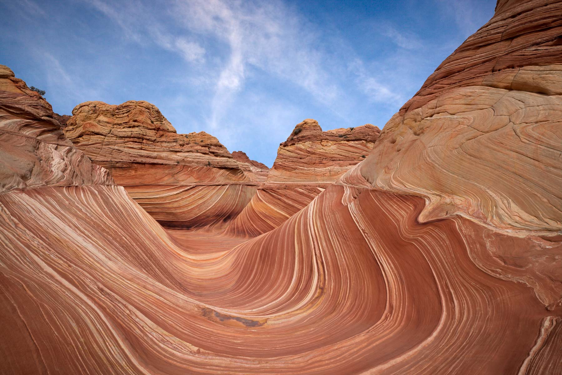 Wide-angle view of The Wave in Coyote Buttes North, Arizona