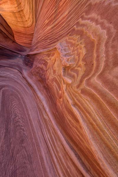 Soft sediment deformation at The Wave in Coyote Buttes North