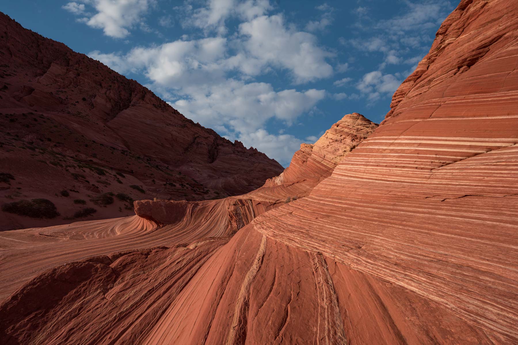 Leading Lines at Sand Cove in Coyote Buttes North, Arizona