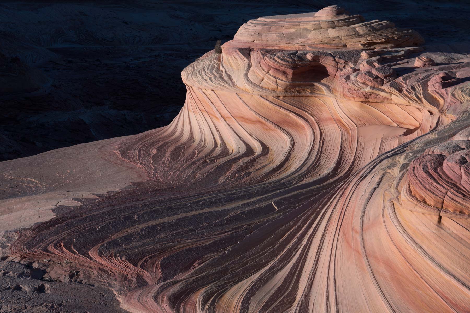 Last light on The Second Wave in Coyote Buttes North, Arizona