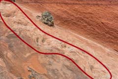 Dinosaur
																												 Trackway in Coyote Buttes North