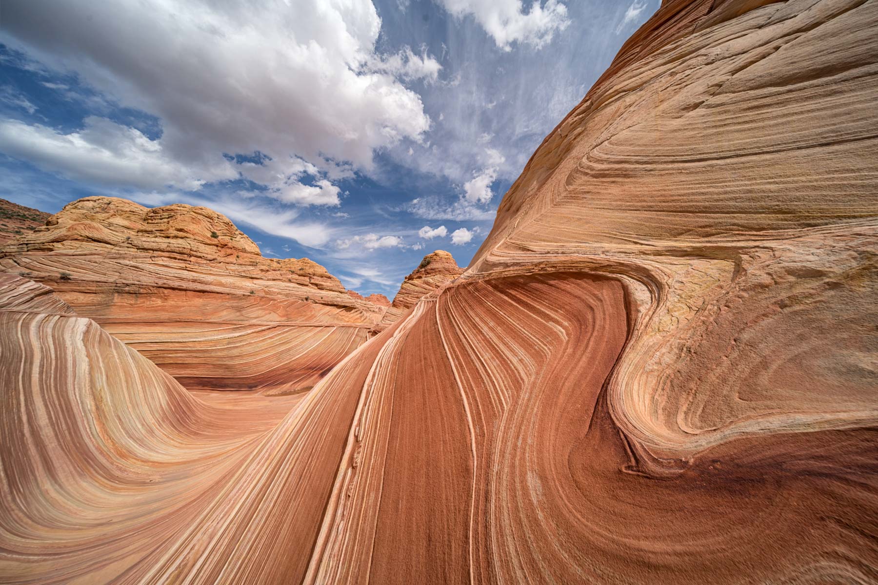 Classic view of The Wave rock formation in Arizona shot at 10mm