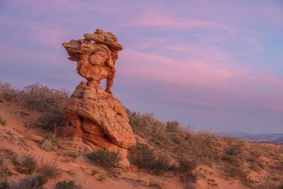 The Hydra before Sunrise The Hydra rock formation in Coyote Buttes South, Arizona