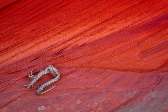Red cove Red reflected light in Coyote Buttes South, Arizona