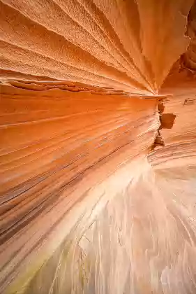 Southern Alcove Wall 2 The Southern Alcove in Coyote Buttes South, Arizona