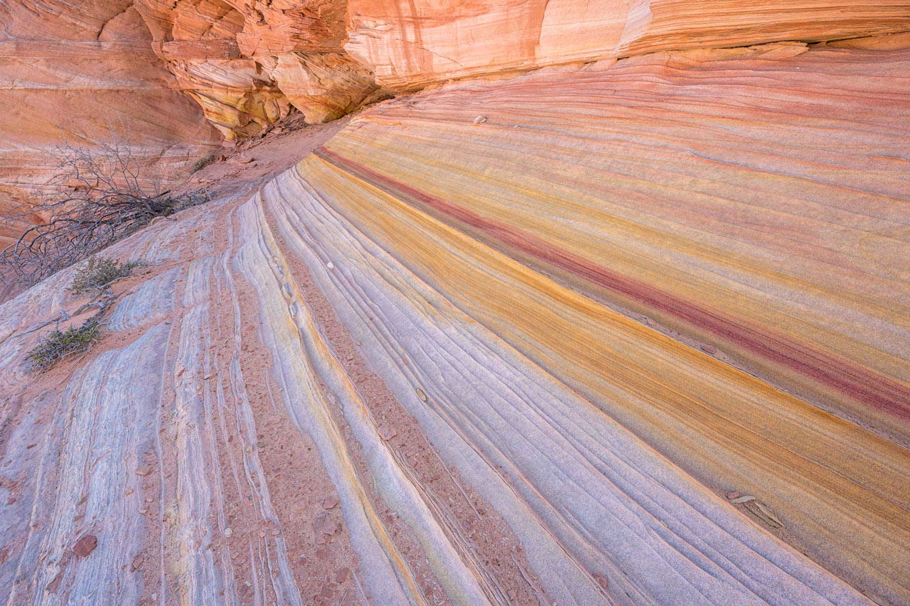 Rainbow Cove in Coyote Buttes South