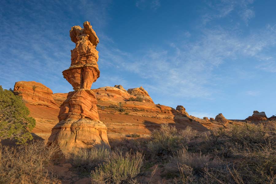 The Chess Queen in Coyote Buttes South
