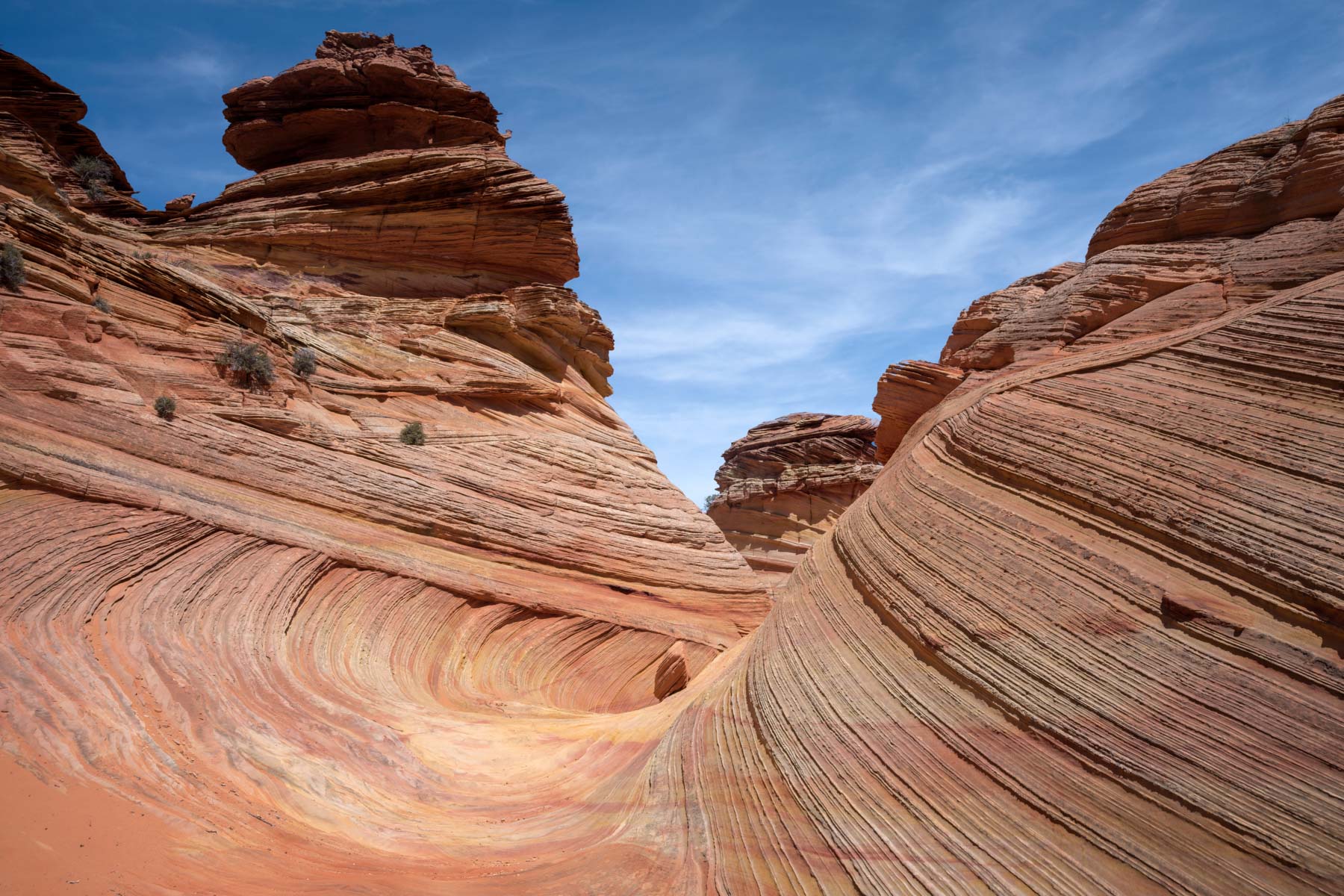 The Southern Wave in Coyote Buttes South