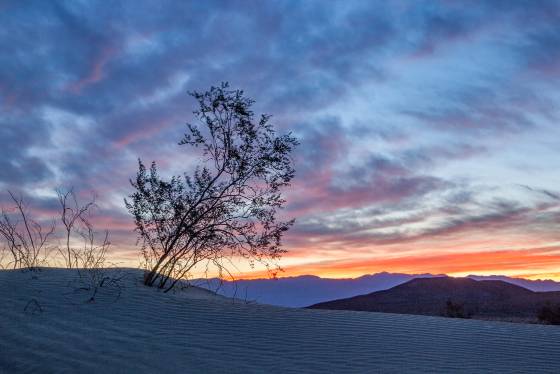 Blue Hour 3 Mesquite Dunes in Death Valley National Park, California