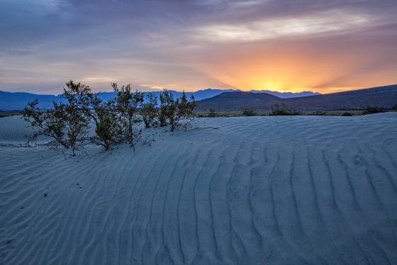 Blue Hour 7 Mesquite Dunes in Death Valley National Park, California