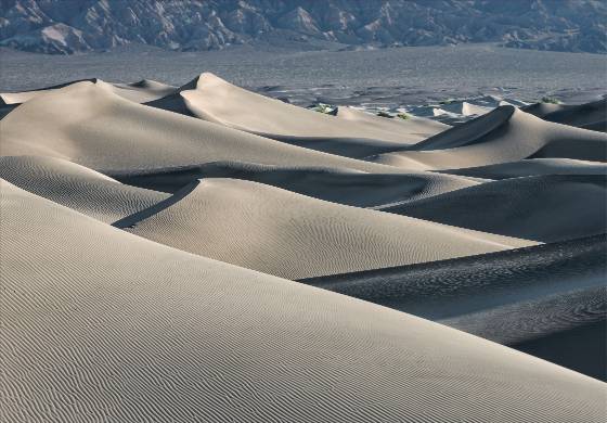 Mesquite Dunefield 2 Mesquite Dunes in Death Valley National Park, California