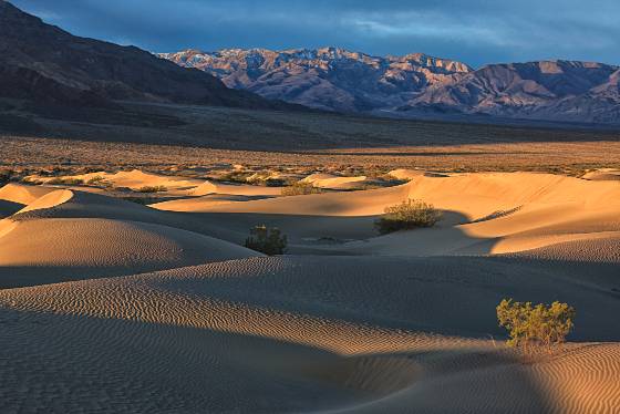 Mesquite Dunefield 7 Mesquite Dunes in Death Valley National Park, California