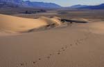 Footprints on the Panamint Dunes in Death Valley