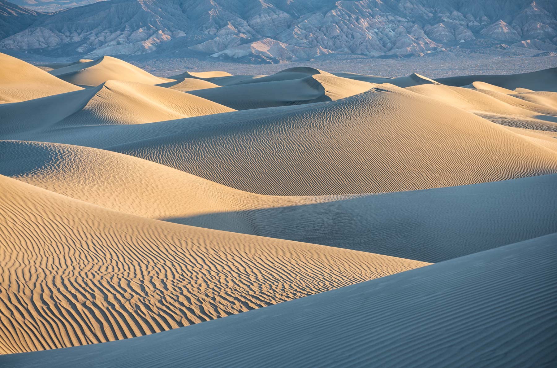 Mesquite Dunes at Dawn in Death Valley National Park, California