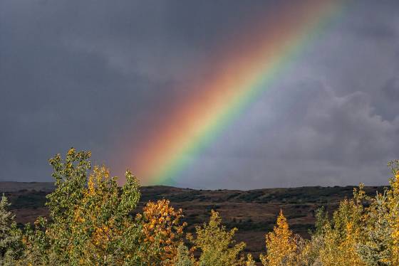 A Land of Rainbows Rainbow seen just outside Denali National Park