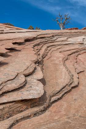Fins 1 Sandstone slabs on West Clark Bench, Utah