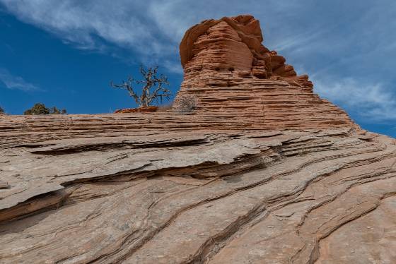 Fins 2 Sandstone slabs on West Clark Bench, Utah