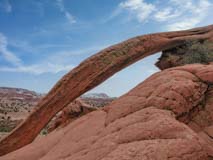 Cobra Arch in the Grand Staircase Escalante National Monument