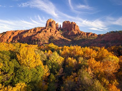 Autumn's Palette Cottonwoods in fall color with Cathedral Rock in Sedona, AZ