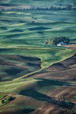 Morning View From Steptoe Butte