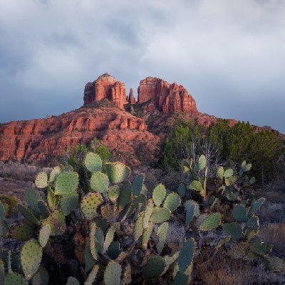 Prickly Pear and Cathedral Cathedral Rock, Sedona with Prickly Pear Cactus. Taken near Secret Slickrock.