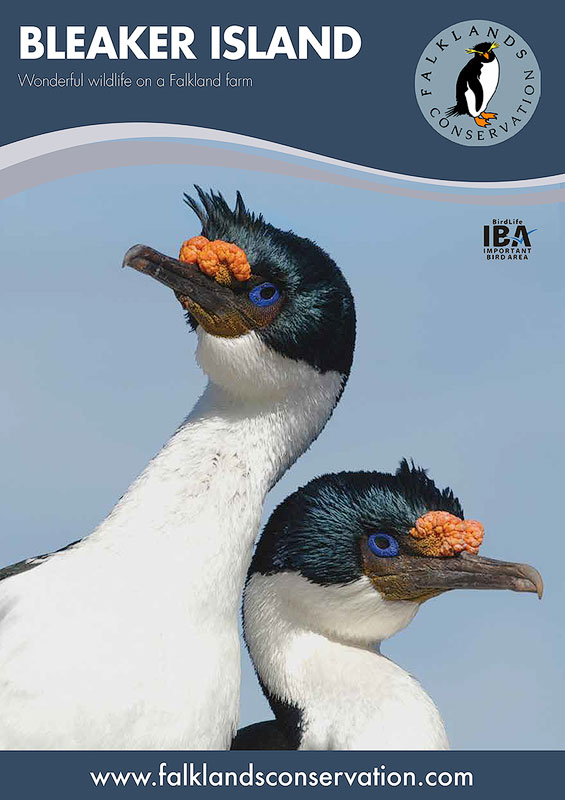 Brochure about Bleaker Island in the Falkland Islands