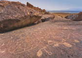 Bishop Area Petroglyphs