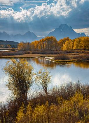 Delicious Autumn Fall Color at Oxbow Bend in Grand Teton National Park, Wyoming