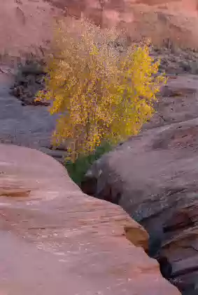 First Narrows Inscription Chamber in Leprechaun Slot Canyon near Hanksville, Utah