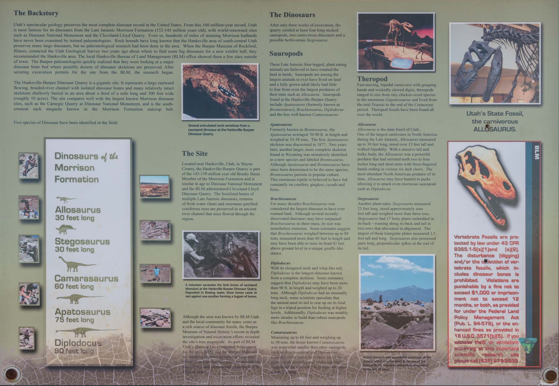 Hanksville-Burpee Dinosaur Quarry, Lith Canyon, Utah 