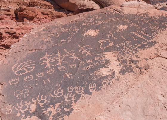 Hopi Clan Petroglyphs 3 Hopi Clan Petroglyphs at Tutuveni Newspaper Rock