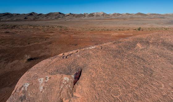 Hopi Clan Petroglyphs 5 Hopi Clan Petroglyphs at Tutuveni Newspaper Rock